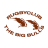 RC The Big Bulls club crest