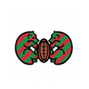 Rotterdamse Studenten Rugby Club club crest