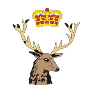 Cinderford club crest