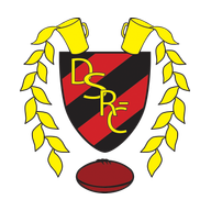 Delftsche Studenten Rugby-Club club crest